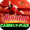 3cardfly Master Pro v5.5.1