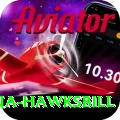 antigua hawksbill Gold v5.2.8