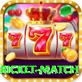 bangladesh cricket match Deluxe Edition v4.2.3