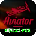Bingo PKR Master Pro v2.3.3