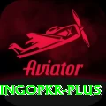 bingopkr Deluxe Edition v3.1.5