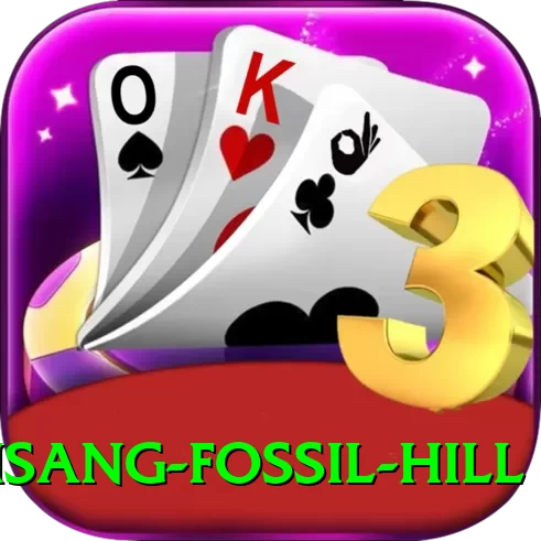 chhusang fossil hill Deluxe v5.8.3 - 2