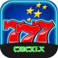 crickex Premium Edition v1.5.6