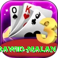 dawid malan Max v2.1.1