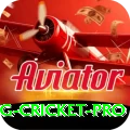 eng cricket Champion PK v2.4.7