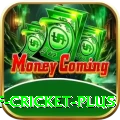 god of cricket - Slots Super