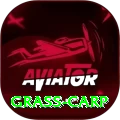 grass carp Deluxe Edition v5.1.4