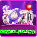 helambu rhododendron Games (Casino & Earning) Elite v2.4.6