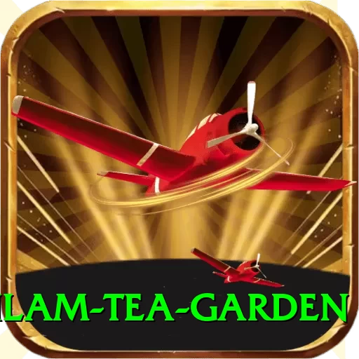hile ilam tea garden Turbo v5.6.8 - 2