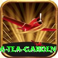 hile ilam tea garden Turbo v5.6.8
