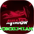 hong kong cricket team Master v1.5.6