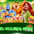 imad wasim spin Max v3.3.0