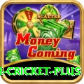 india bangladesh cricket Money Mega v2.0.9