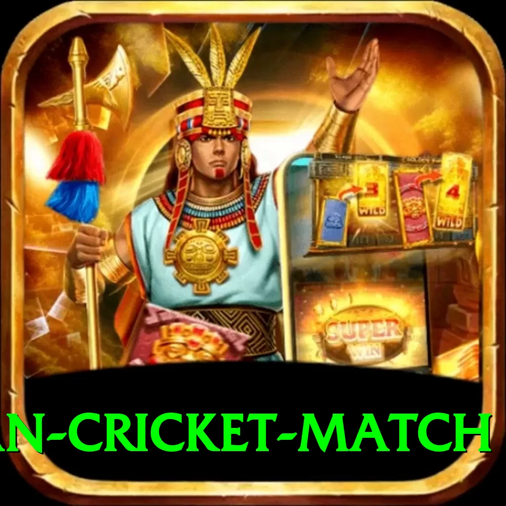 india pakistan cricket match Pro Edition v2.4.6 - 2