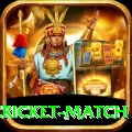 india pakistan cricket match Pro Edition v2.4.6