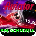 indian cricket team schedule Master v5.6.5