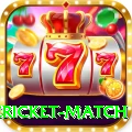 international cricket match Plus