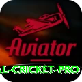 international cricket Slots King v1.2.6