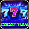 ireland cricket team Deluxe Edition v1.7.8