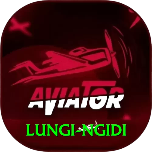 lungi ngidi Plus Edition v2.4.0 - 2