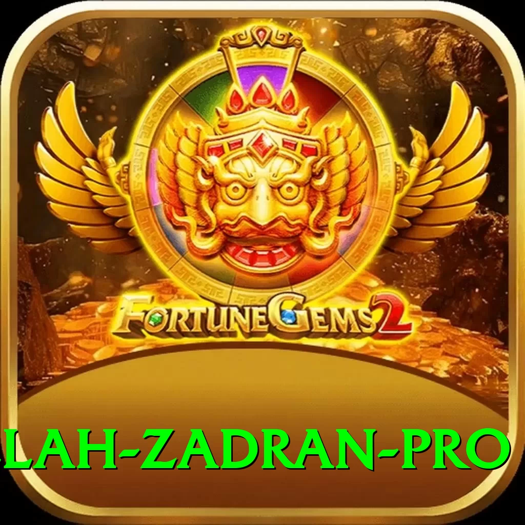 najibullah zadran - Prime Earning App - 2