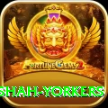 naseem shah yorkers Ultimate v4.4.7