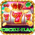 new zealand cricket team Apps (Tools & Injectors) Ultimate v2.2.4