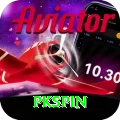 pkspin Pro Max vv1.6.0