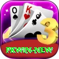 pkwin Pro1 v3.2.5