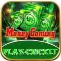 play cricket Plus Pro v4.3.3