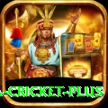 sa cricket Plus - Win Real PKR