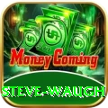 steve waugh Master Pro v2.2.7