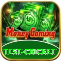 test cricket VIP Edition v4.1.8