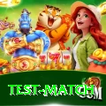 test match Elite v5.2.5