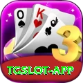 tgslot Bonus Master v1.4.9