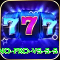 v44 Casino Pro v5.5.5