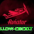 willow cricket Premium v5.1.2