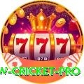 willow cricket Legend v1.7.5