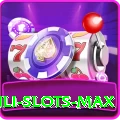 Winli Slots Deluxe Slots